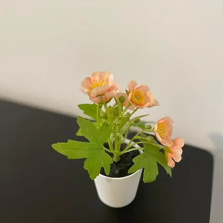 Mr - Emma Apartmán *